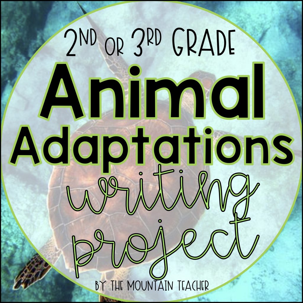 Animal Adaptation Writing Project - The Mountain Teacher