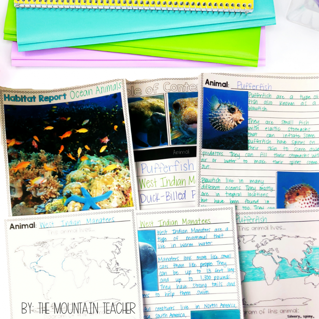 Easy Spring Writing Prompts for Elementary Students and Busy Teachers | animal habitat research project